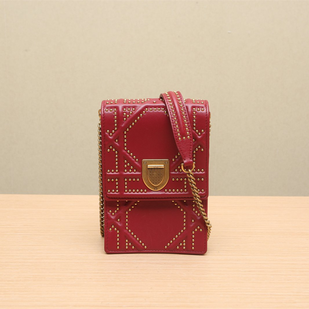Dior Diorama Clutch Bag Dior Red in Leather